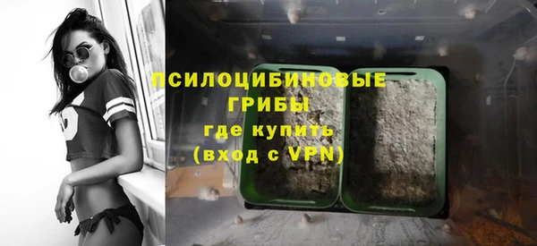 прущие крисы Алексин